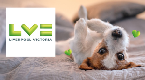 LV= Liverpool Victoria Pet Insurance